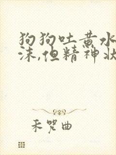 狗狗吐黄水带泡沫,但精神状态很好