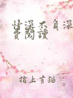 情深不负深情免费阅读