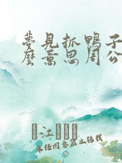 梦见抓鸭子是什么意思周公解梦