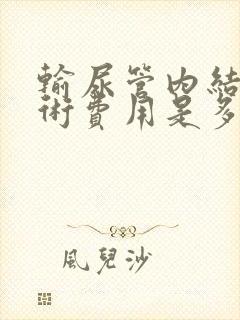 输尿管内结石手术费用是多少