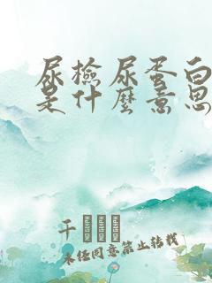 尿检尿蛋白1十是什么意思