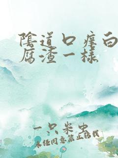 阴道口痒白带豆腐渣一样