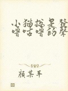 小猫总是发出咕噜咕噜的声音