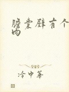 胆囊壁有个小息肉