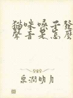 猫咪嗓子发不出声音是怎么回事