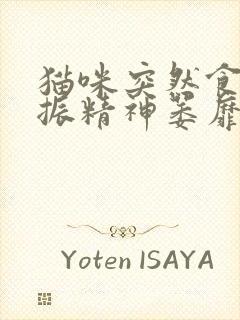 猫咪突然食欲不振精神萎靡总是趴着