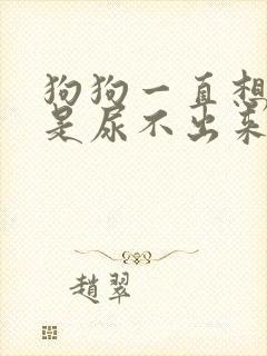 狗狗一直想尿但是尿不出来