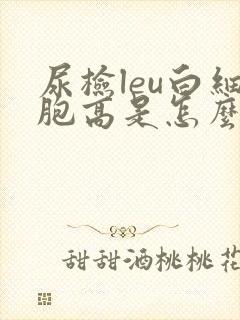 尿检leu白细胞高是怎么回事