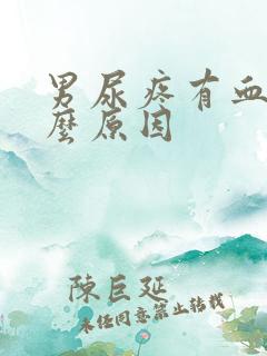 男尿疼有血是什么原因