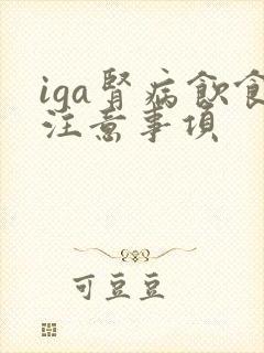 iga肾病饮食注意事项