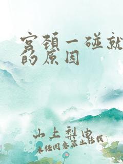 宫颈一碰就出血的原因