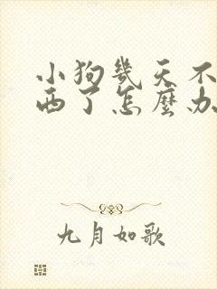 小狗几天不吃东西了怎么办