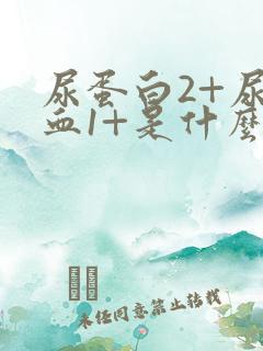 尿蛋白2+尿潜血1+是什么意思