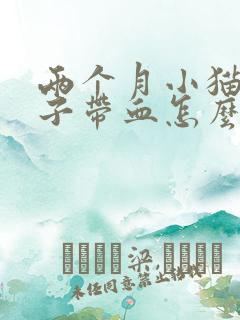 两个月小猫拉肚子带血怎么办