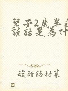 儿子2岁半还不说话是为什么