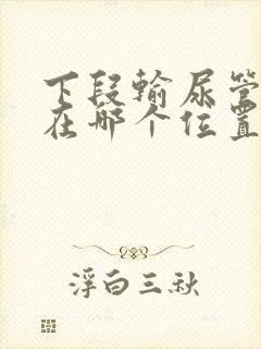 下段输尿管结石在哪个位置