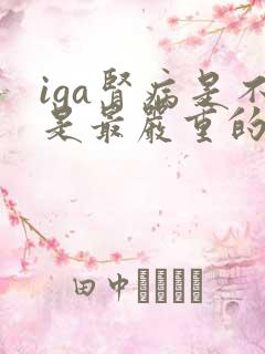 iga肾病是不是最严重的一种肾病