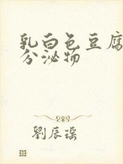 乳白色豆腐渣样分泌物