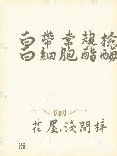 白带常规检查出白细胞酯酶