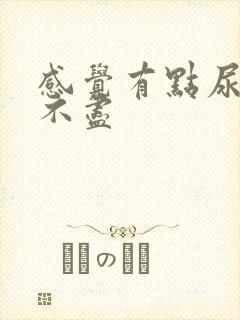 感觉有点尿频尿不尽