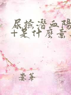 尿检潜血阳性1+是什么意思