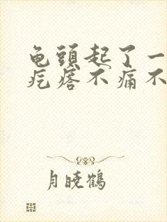 龟头起了一个小疙瘩不痛不痒