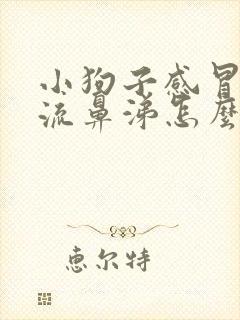 小狗子感冒咳嗽流鼻涕怎么治