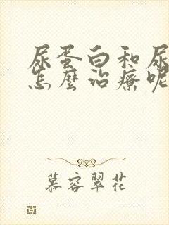 尿蛋白和尿潜血怎么治疗呢?