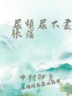 尿频尿不尽小腹胀痛