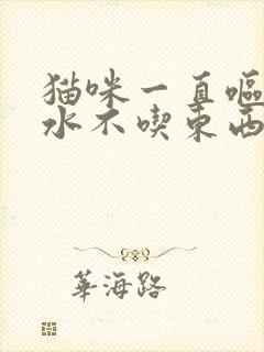 猫咪一直呕吐黄水不吃东西怎么办