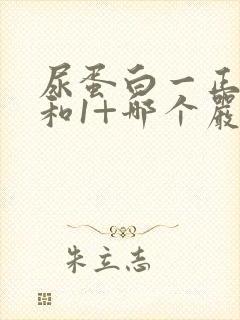 尿蛋白一正一负和1+哪个严重