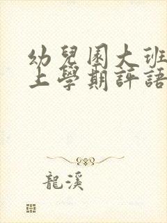 幼儿园大班评语上学期评语