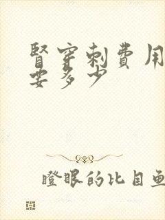 肾穿刺费用大概要多少