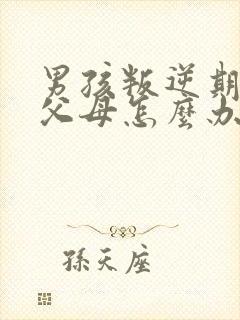 男孩叛逆期打骂父母怎么办