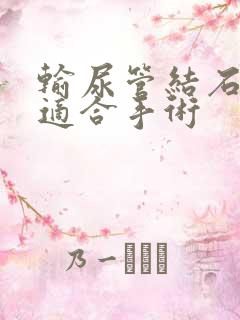 输尿管结石多大适合手术