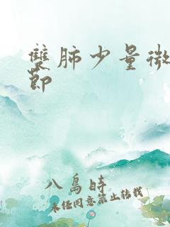 双肺少量微小结节