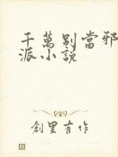 千万别当邪恶反派小说