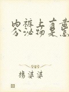 内裤上有黄黄的分泌物是怎么回事不痒