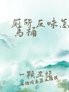 厕所反味怎么办 马桶