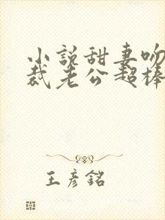 小说甜妻吻安总裁老公超棒的