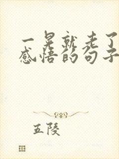 一晃就老了人生感悟的句子