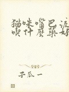 猫咪嘴巴流口水吃什么药好