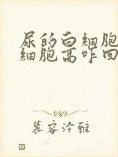 尿的白细胞和红细胞高咋回事