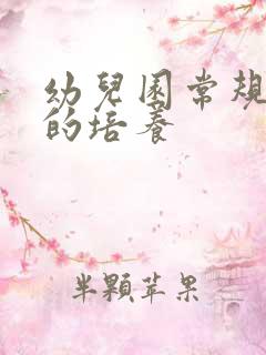 幼儿园常规习惯的培养