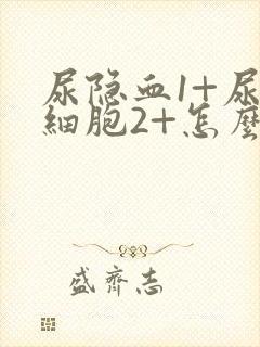 尿隐血1+尿白细胞2+怎么回事