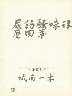 尿的骚味很重怎么回事