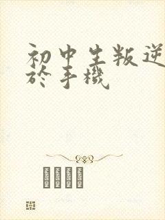 初中生叛逆沉迷于手机