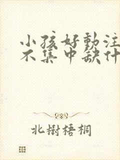 小孩好动注意力不集中缺什么