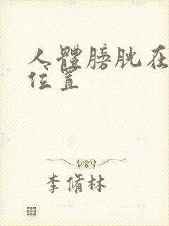 人体膀胱在哪个位置