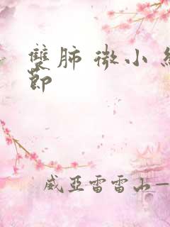 双肺 微小 结节